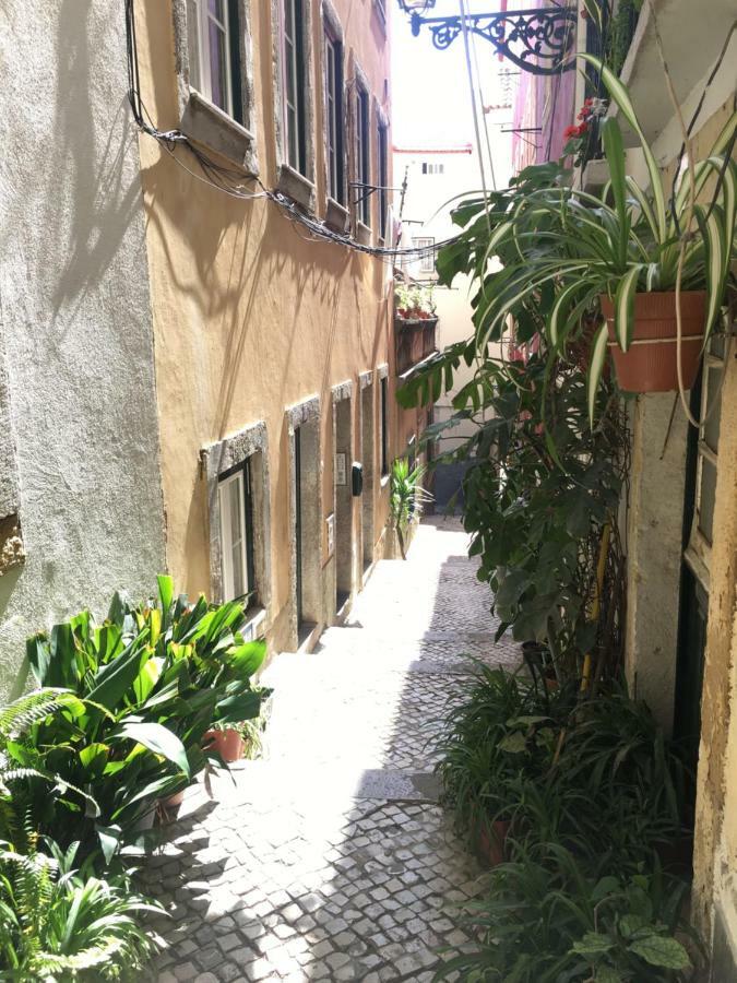 Casa Da Saudade, A Cozy Apartment In Alfama Лиссабон Экстерьер фото